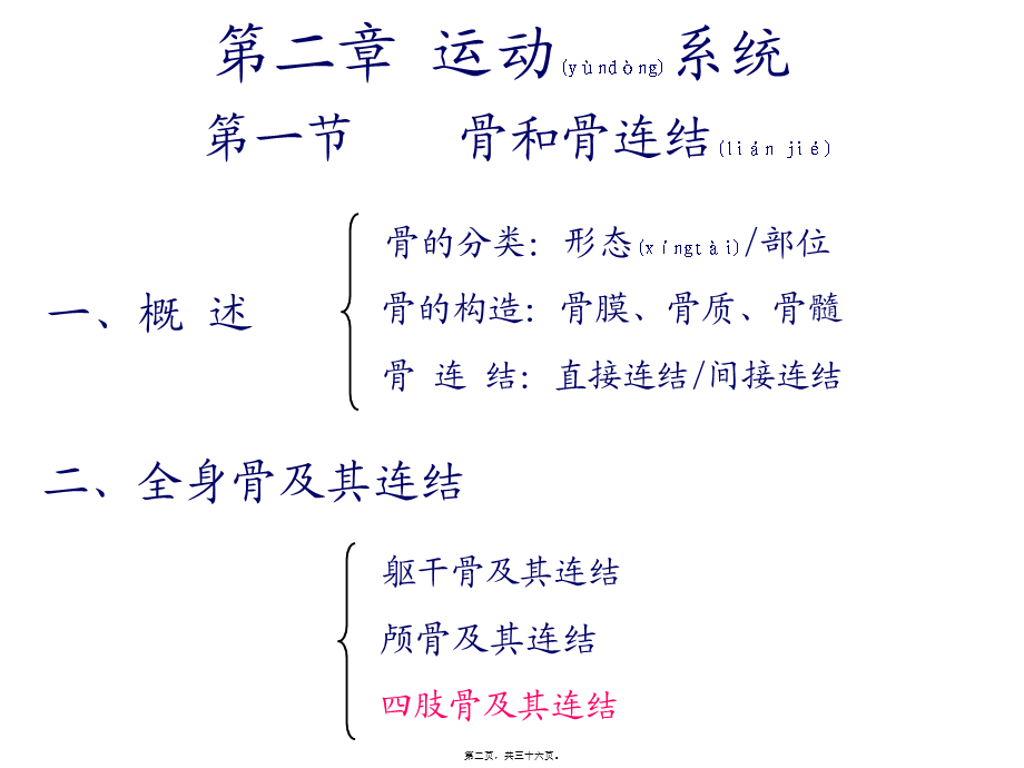 2022年医学专题—第2章-运动系统——4四肢骨及其连结(1).ppt_第2页