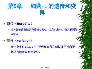 2022年医学专题—第5章-细菌的遗传和变异-噬菌体(1).ppt