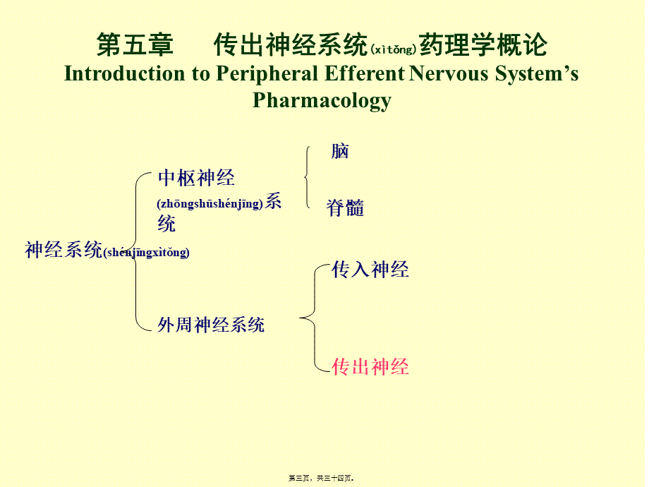 2022年医学专题—第二篇-外周神经系统药理.(1).ppt_第3页