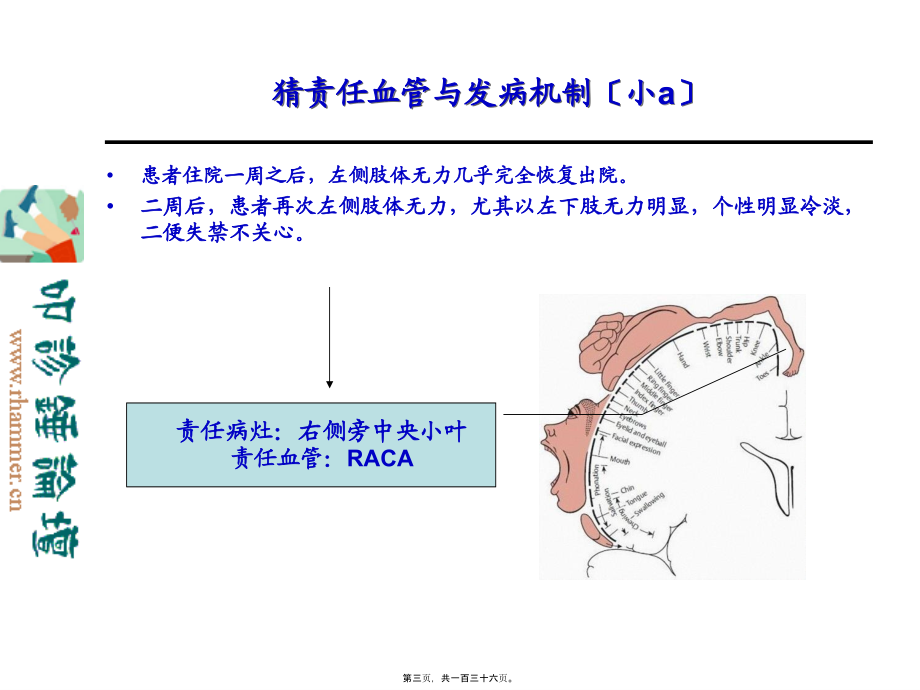 从影像学梗死部位推测责任供血血管.pptx_第3页