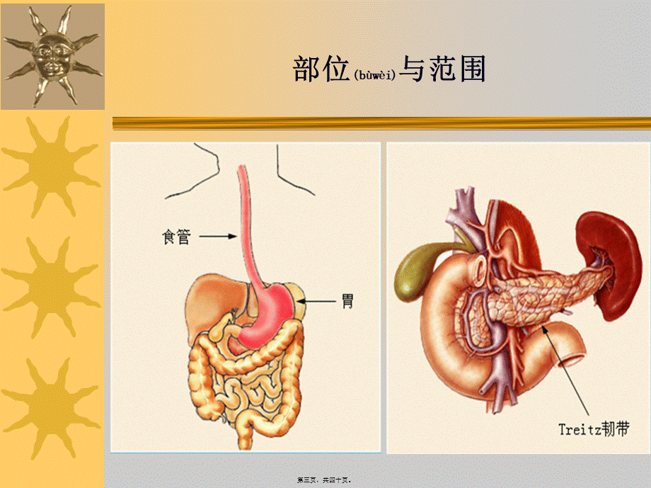 2022年医学专题—急性消化道大出血的监测及新进展(1).ppt_第3页