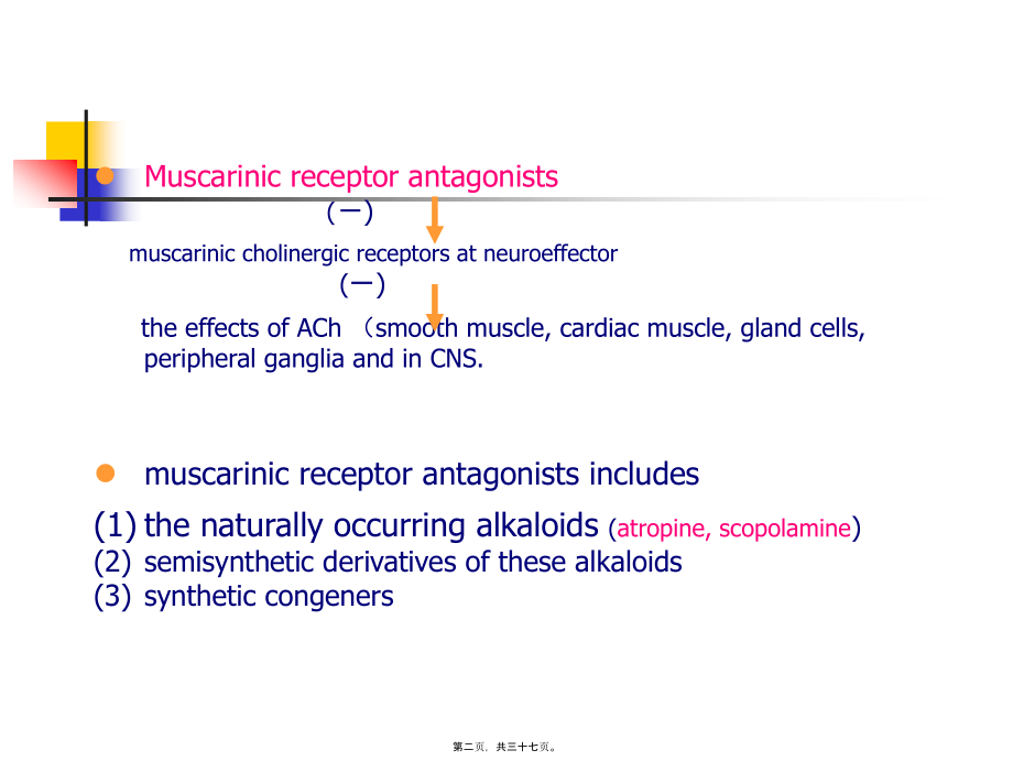 2022年医学专题—第89章胆碱受体阻断药(1).ppt_第2页