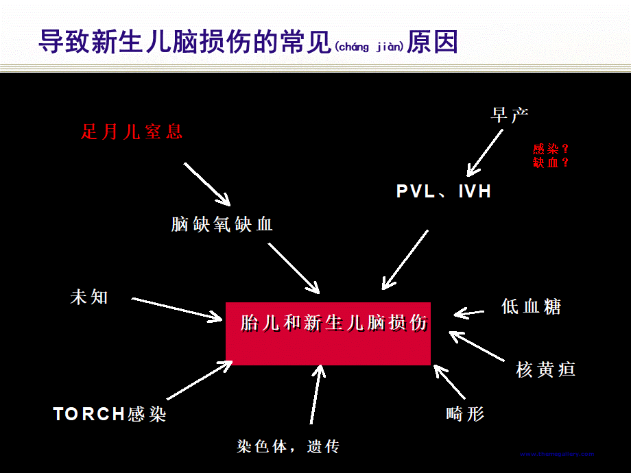 2022年医学专题—早产儿脑损伤2015年(1).ppt_第2页