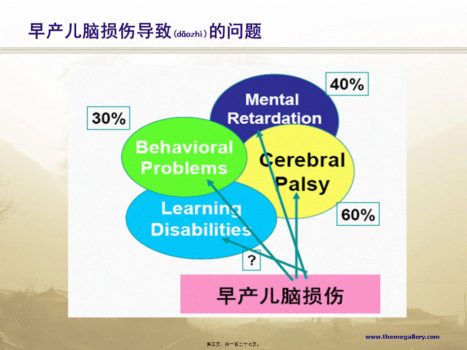 2022年医学专题—早产儿脑损伤2015年(1).ppt_第3页