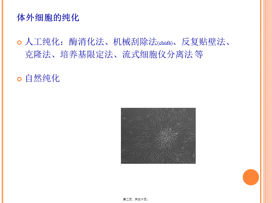 2022年医学专题—口腔培养细胞的取材与分离(1).ppt_第2页