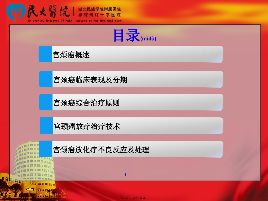 2022年医学专题—宫颈癌放化疗后不良反应及相关处理--熊.ppt_第2页