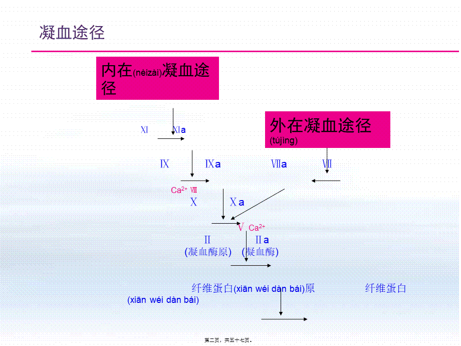 2022年医学专题—抗凝药发展进程(1).ppt_第2页