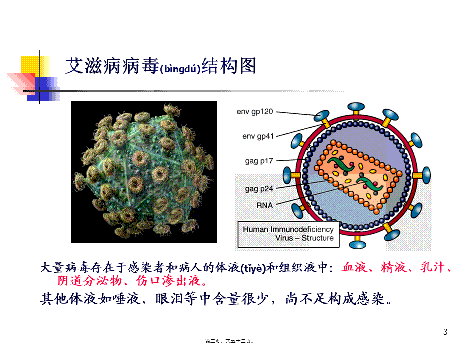 2022年医学专题—最新：艾滋病基本知识流行形势-文档资料(1).ppt_第3页