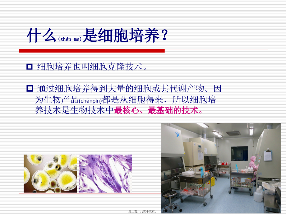 2022年医学专题—细胞培养技术.ppt_第2页