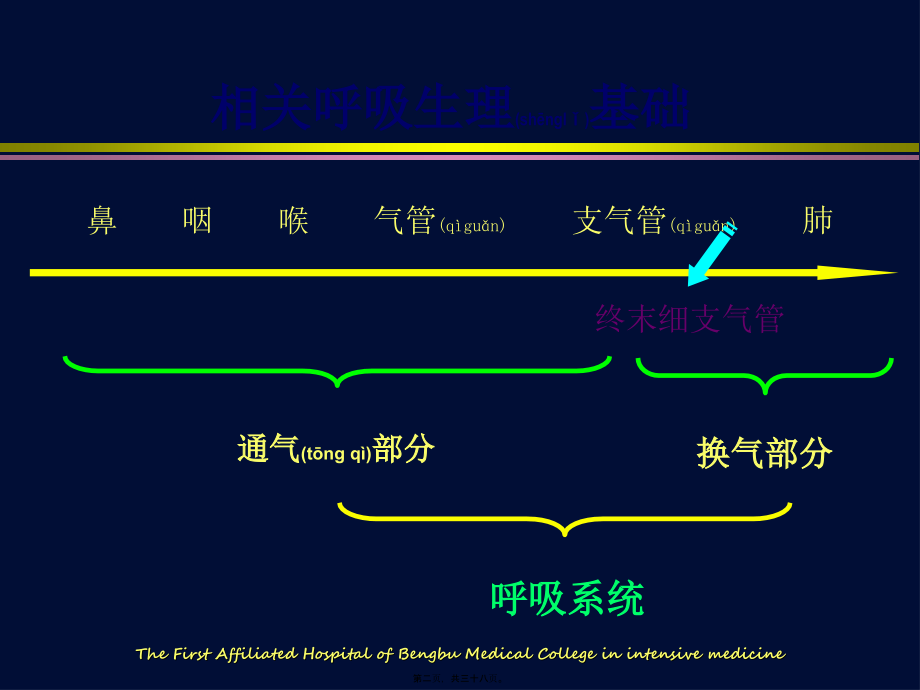 2022年医学专题—呼吸机相关基础知识.ppt_第2页