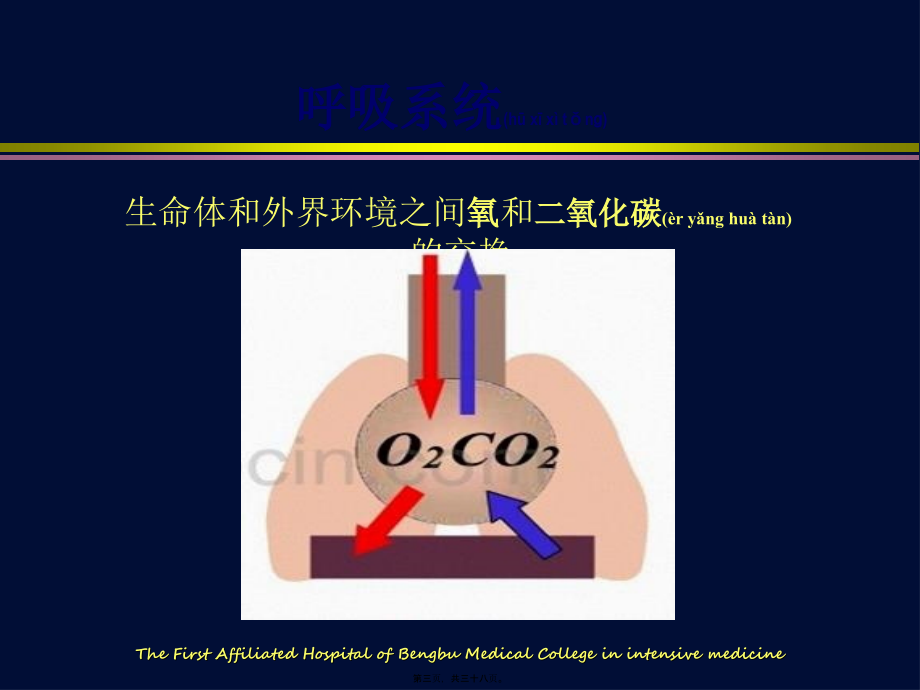 2022年医学专题—呼吸机相关基础知识.ppt_第3页