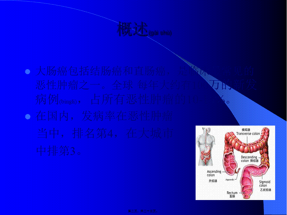 2022年医学专题—结肠癌术后辅助化疗(1).ppt_第2页