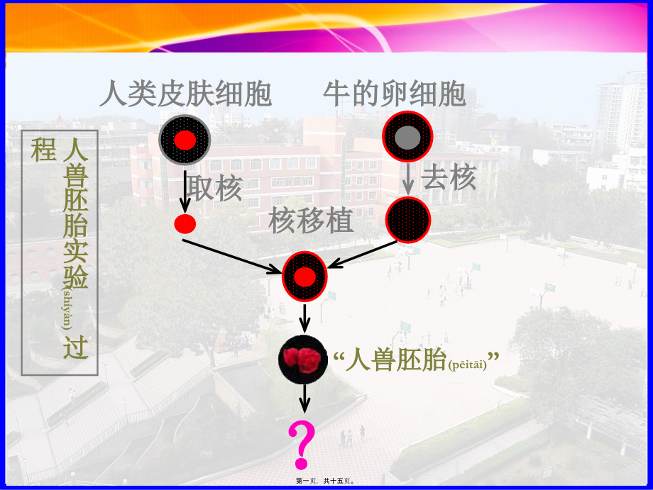 2022年医学专题—细胞核—系统的控制中心-陈姣公开课.ppt_第1页