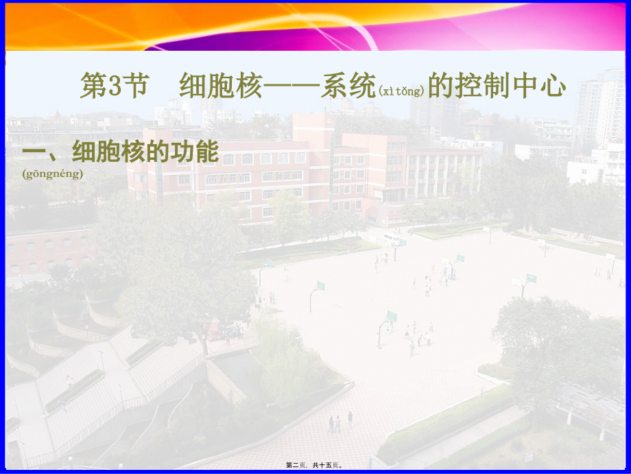 2022年医学专题—细胞核—系统的控制中心-陈姣公开课.ppt_第2页