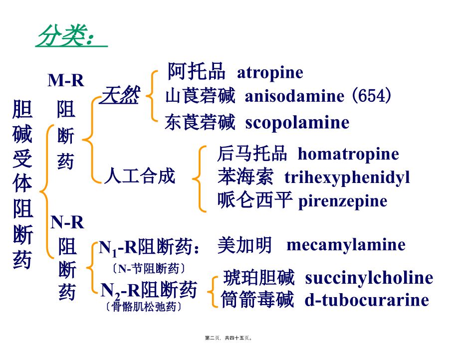 【若风制作】胆碱受体阻断药(五年本).解读.pptx_第2页