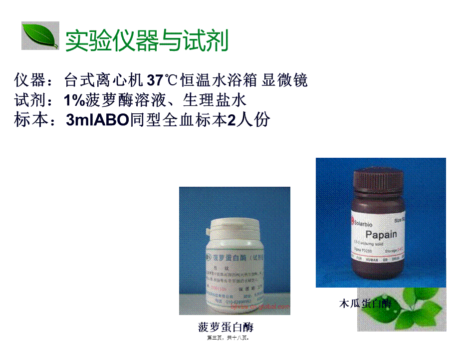 交叉配血-酶法和聚凝胺法.pptx_第3页