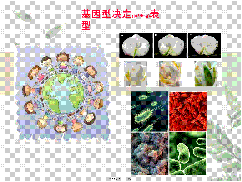 2022年医学专题—染色质免疫沉淀(1).ppt_第2页