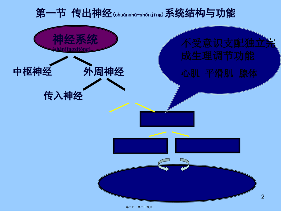 2022年医学专题—第05章-传出神经系统药理(1).ppt_第2页