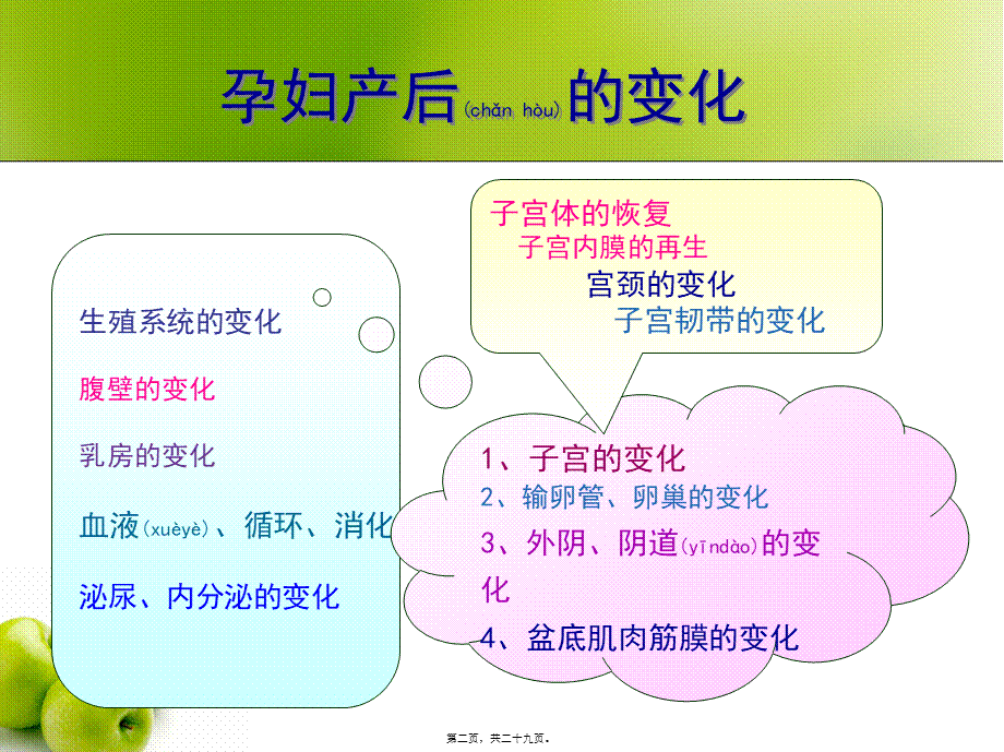 2022年医学专题—产后母体的变化和恢复(1).ppt_第2页