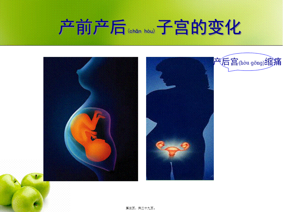 2022年医学专题—产后母体的变化和恢复(1).ppt_第3页