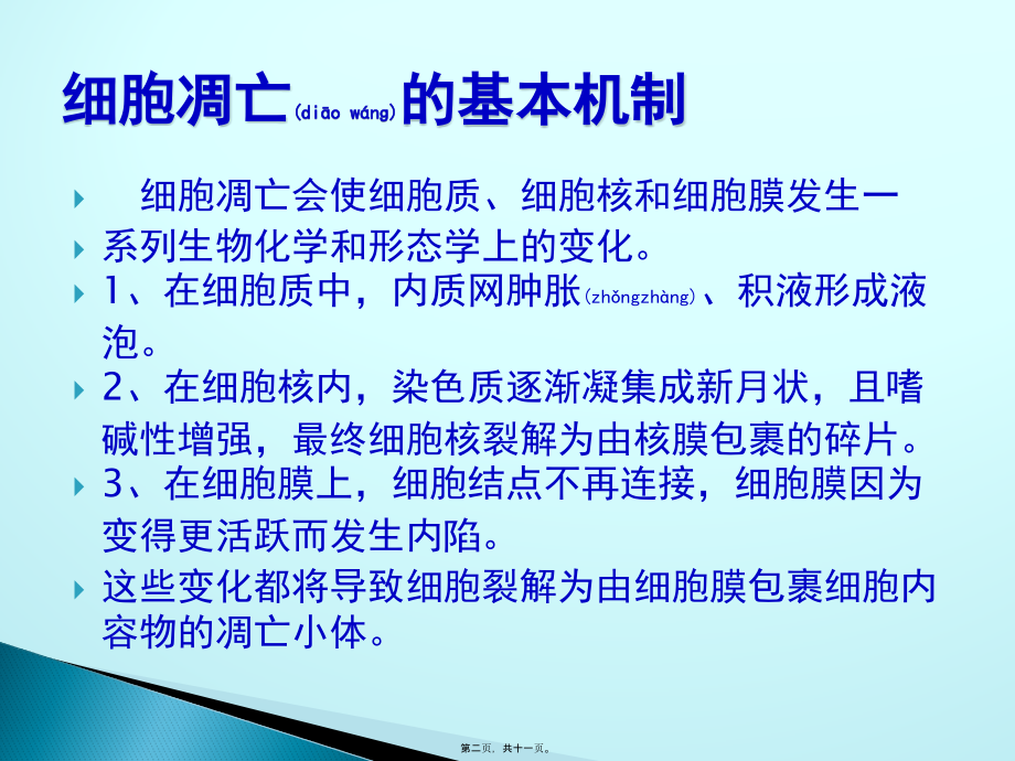 2022年医学专题—细胞凋亡PPT.pptx_第2页