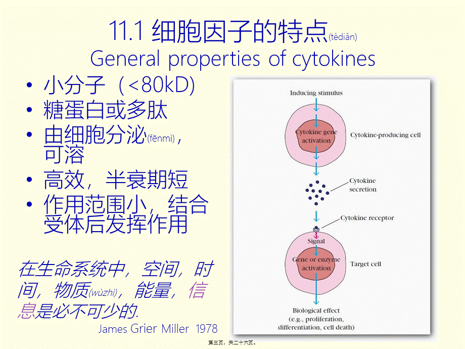 2022年医学专题—第十二讲-细胞因子(下)(1).pptx_第3页