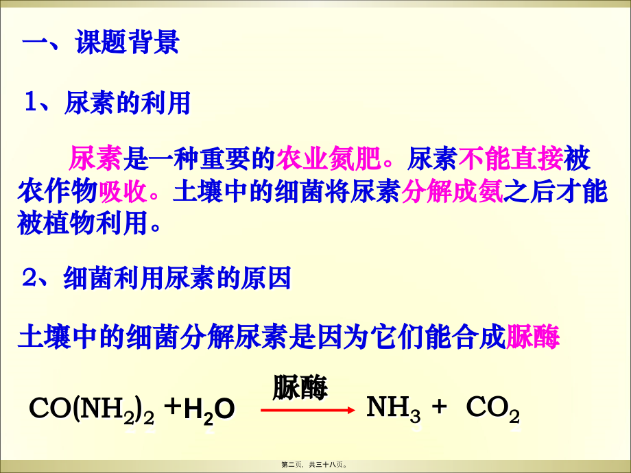 土壤中分解尿素的细菌的分离和计数-上课用.pptx_第2页