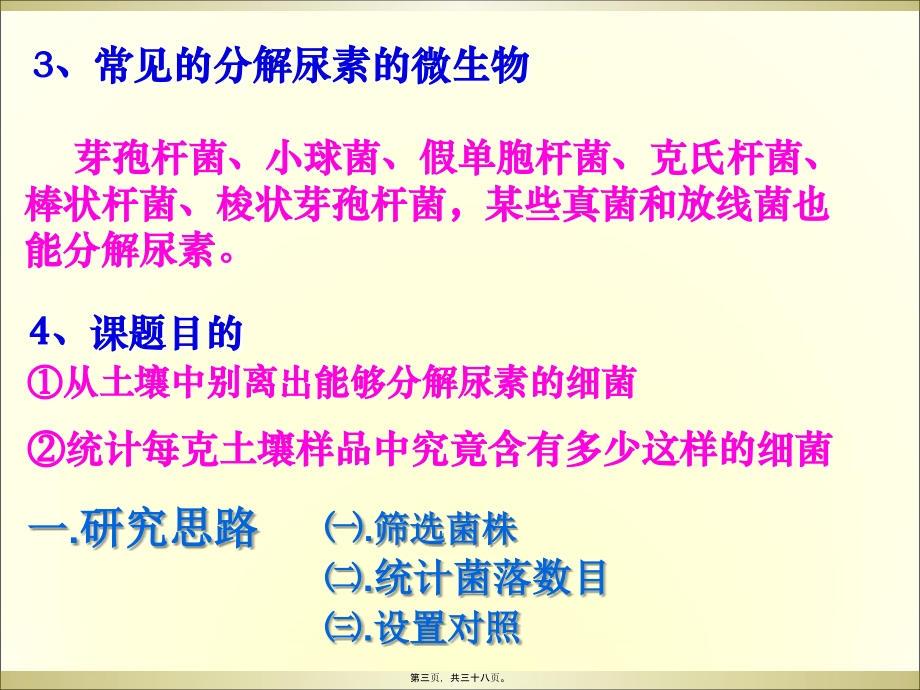 土壤中分解尿素的细菌的分离和计数-上课用.pptx_第3页