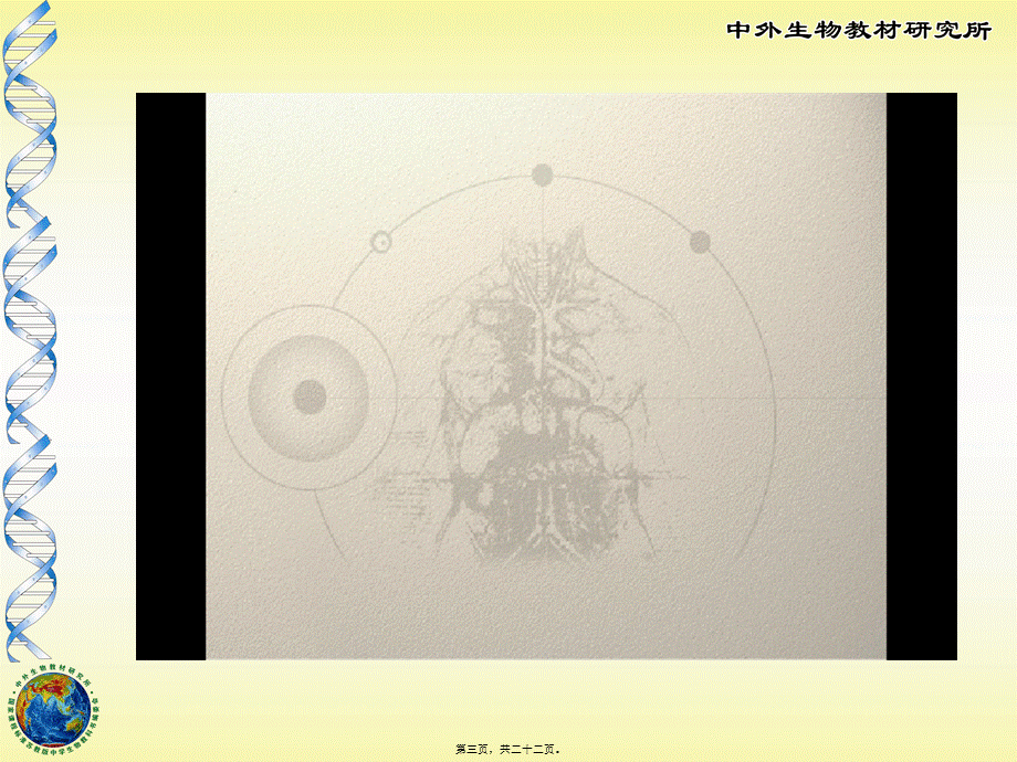 2022年医学专题—-3人体概述(1).ppt_第3页