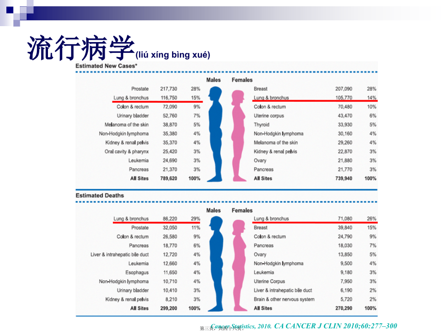 2022年医学专题—第七课-肺癌.ppt_第3页