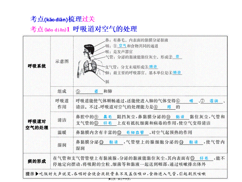 2022年医学专题—人体的呼吸-(共25张PPT)(1).pptx_第2页