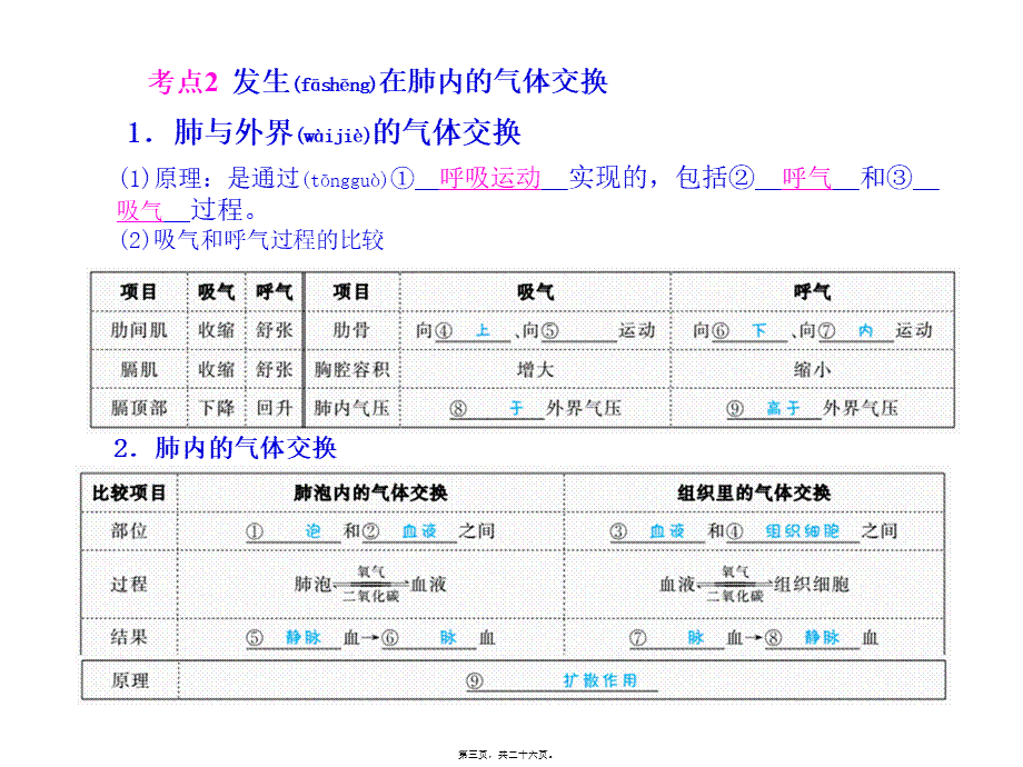 2022年医学专题—人体的呼吸-(共25张PPT)(1).pptx_第3页