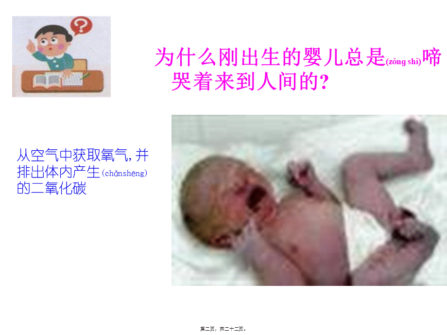 2022年医学专题—呼吸道(1).ppt_第2页