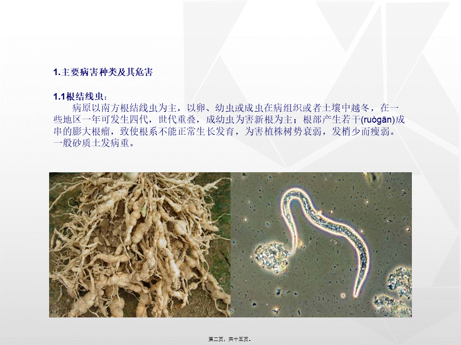 2022年医学专题—猕猴桃常见病害图文防治详解(基础版)分析(1).ppt_第2页