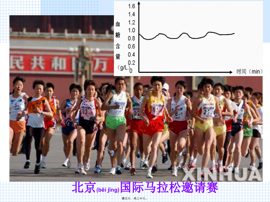 2022年医学专题—胰岛素和胰高血糖素.ppt_第3页