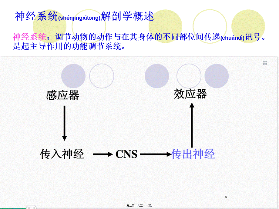 2022年医学专题—传出神经系统药汇总(1).ppt_第2页