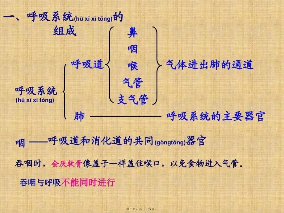 2022年医学专题—聂-发生在肺内的气体交换ppt.ppt_第2页