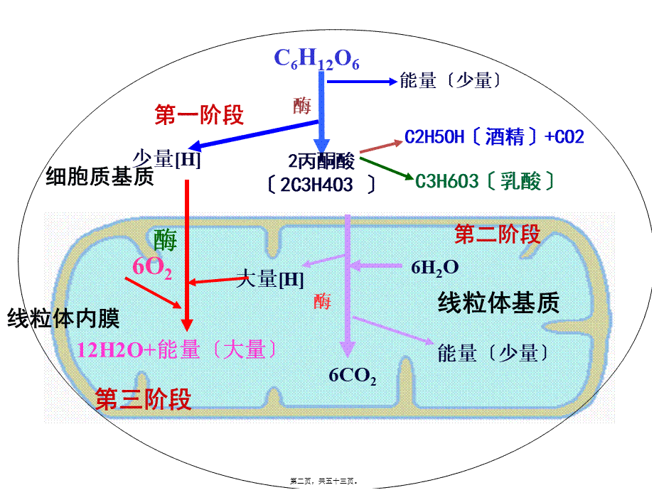 光合与呼吸典型高考题分析.pptx_第2页