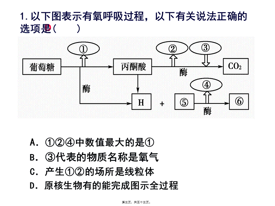 光合与呼吸典型高考题分析.pptx_第3页