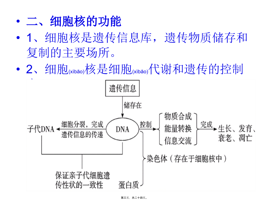 2022年医学专题—第3章--细胞的基本结构(细胞核)(1).ppt_第3页