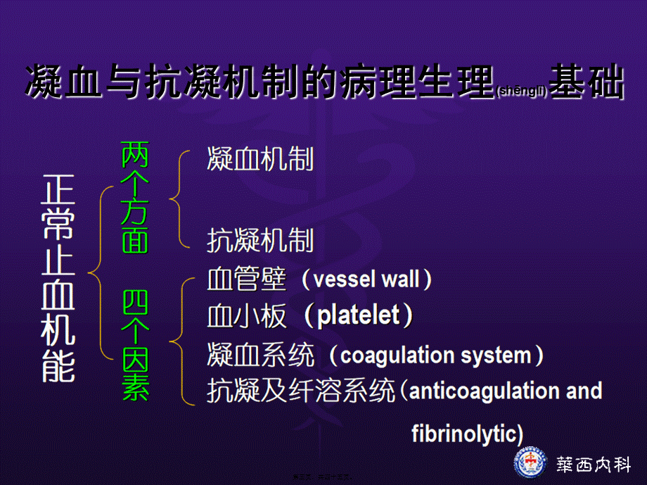 2022年医学专题—凝血酶形成(1).ppt_第3页