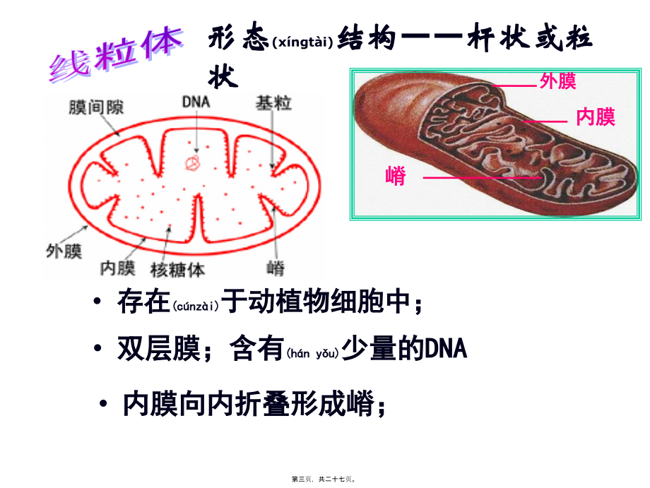 2022年医学专题—第2节-细胞器---系统内的分工合作(第一课时)pp(1).ppt_第3页