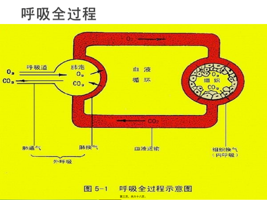 2022年医学专题—呼吸衰竭(本).ppt_第3页