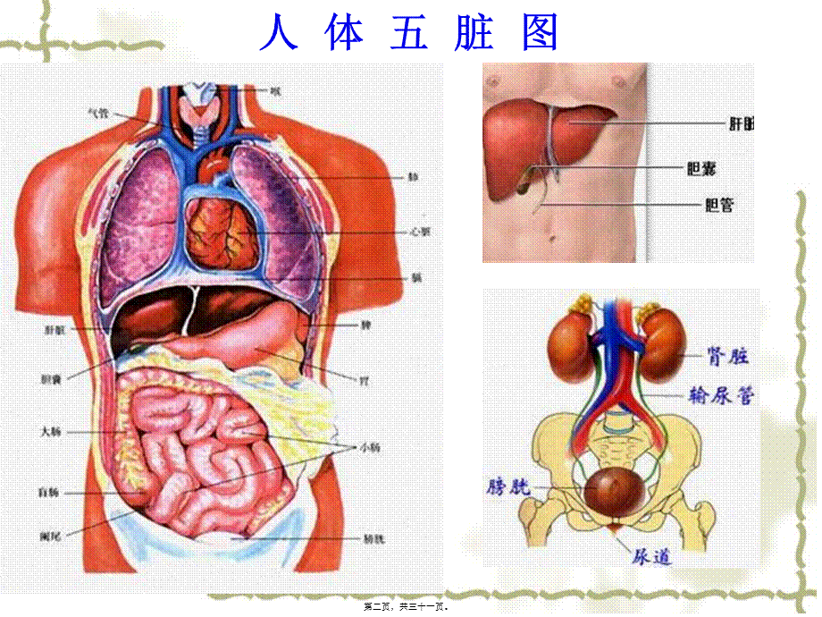 2022年医学专题—河南省肝病医院(1).ppt_第2页