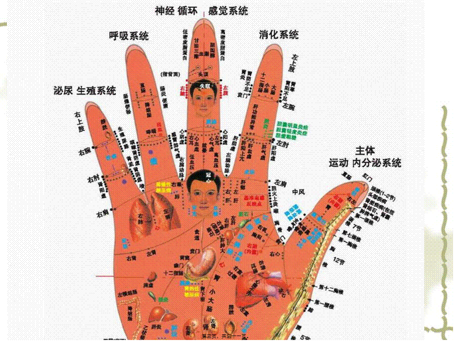 2022年医学专题—河南省肝病医院(1).ppt_第3页