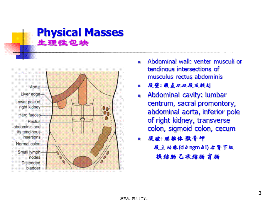 2022年医学专题—J腹部检查B(1).ppt_第3页