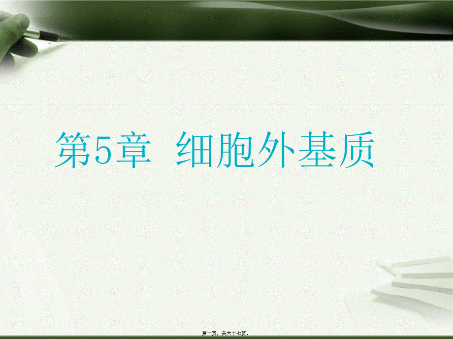 2022年医学专题—第5章-细胞外基质(1).ppt_第1页