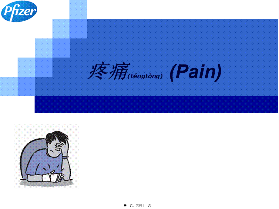 2022年医学专题—疼痛基础知识.ppt_第1页