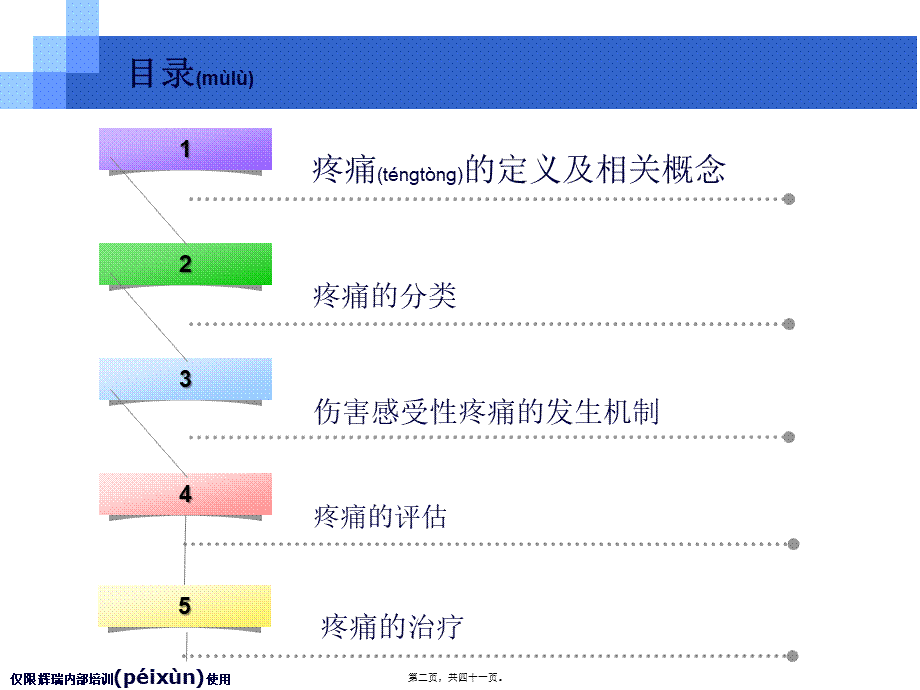 2022年医学专题—疼痛基础知识.ppt_第2页