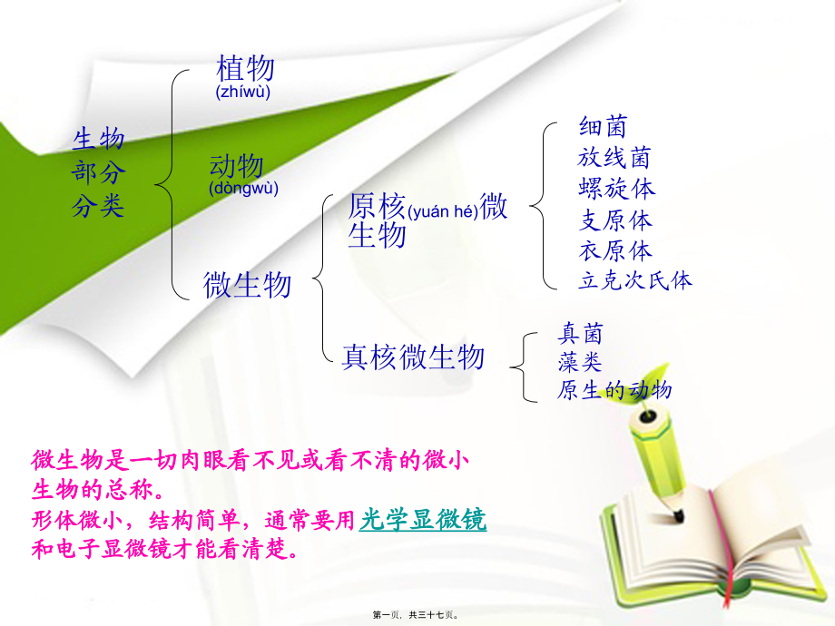 2022年医学专题—第四章第一节分布广泛的细菌和真菌.ppt_第1页